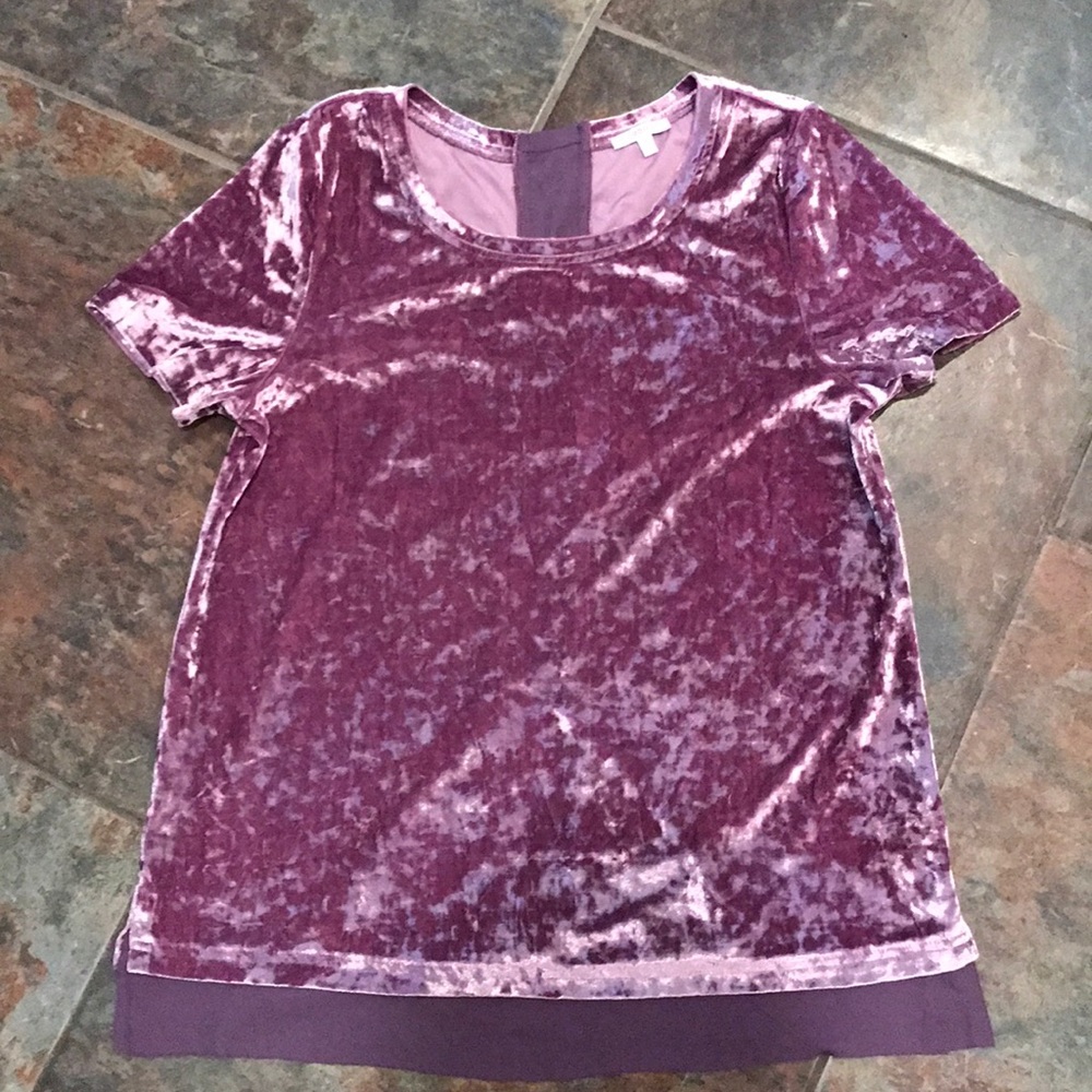 Purple velvet top